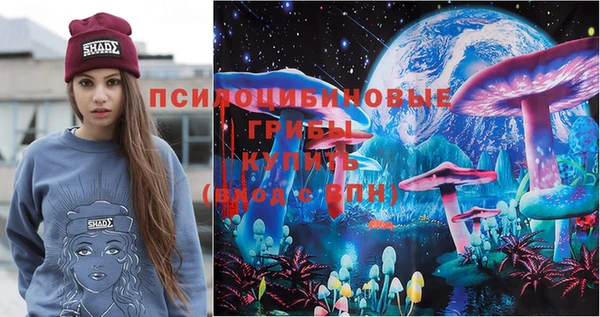 ешки Алзамай