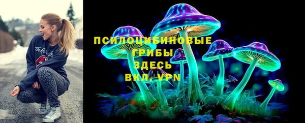 ешки Алзамай
