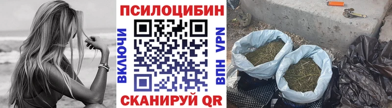 Галлюциногенные грибы прущие грибы  Нововоронеж 