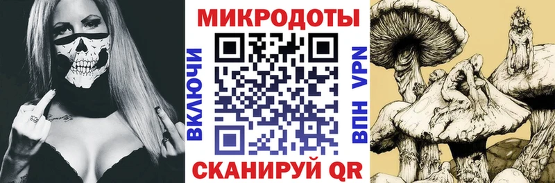 Галлюциногенные грибы Psilocybe Нововоронеж