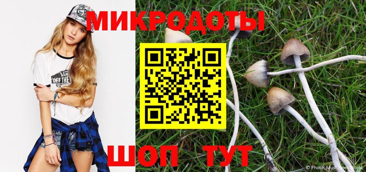 Галлюциногенные грибы мухоморы Нововоронеж
