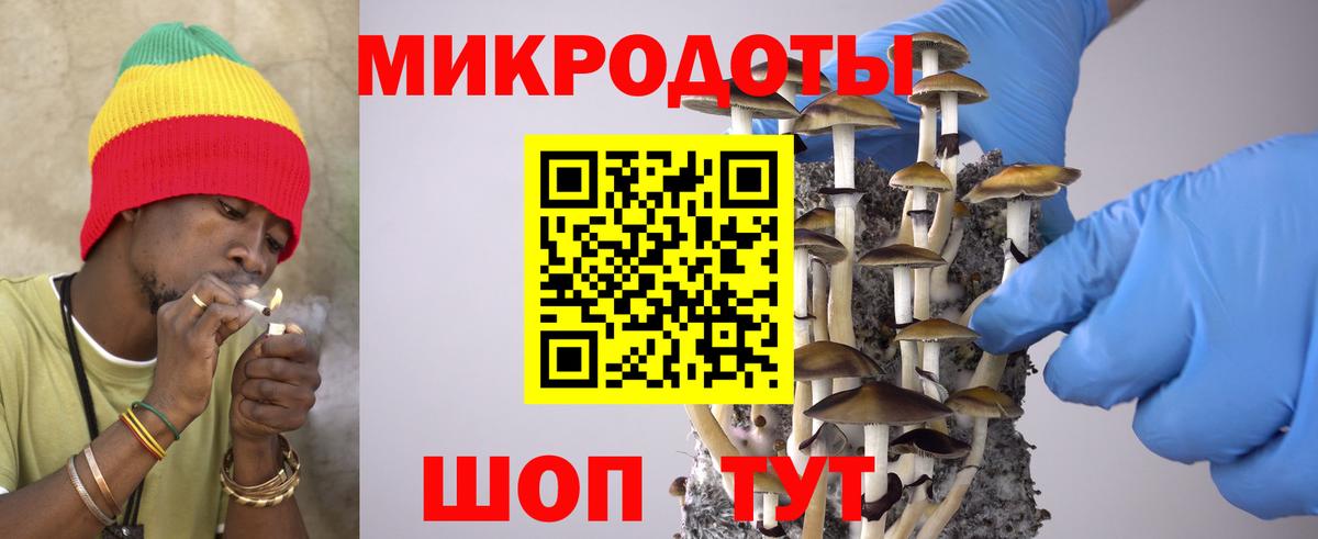 Псилоцибиновые грибы GOLDEN TEACHER  Галлюциногенные грибы GOLDEN TEACHER  Вход с VPN  Нововоронеж 